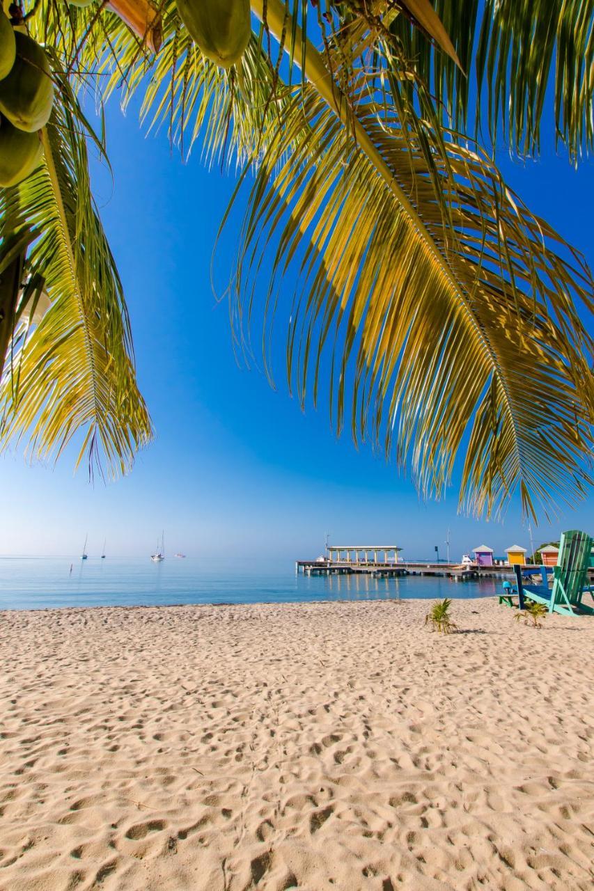 Khalkob'S Estate Διαμέρισμα Placencia Εξωτερικό φωτογραφία