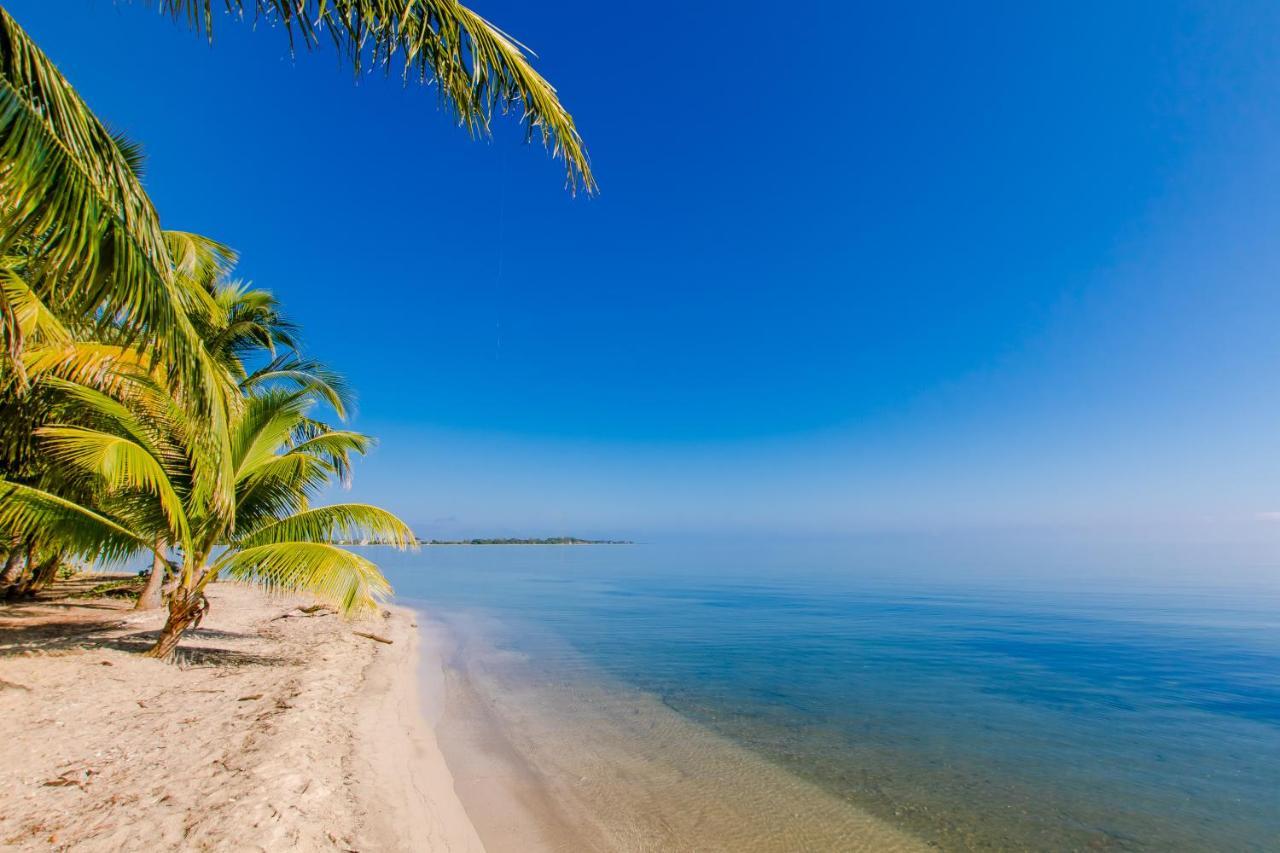 Khalkob'S Estate Διαμέρισμα Placencia Εξωτερικό φωτογραφία