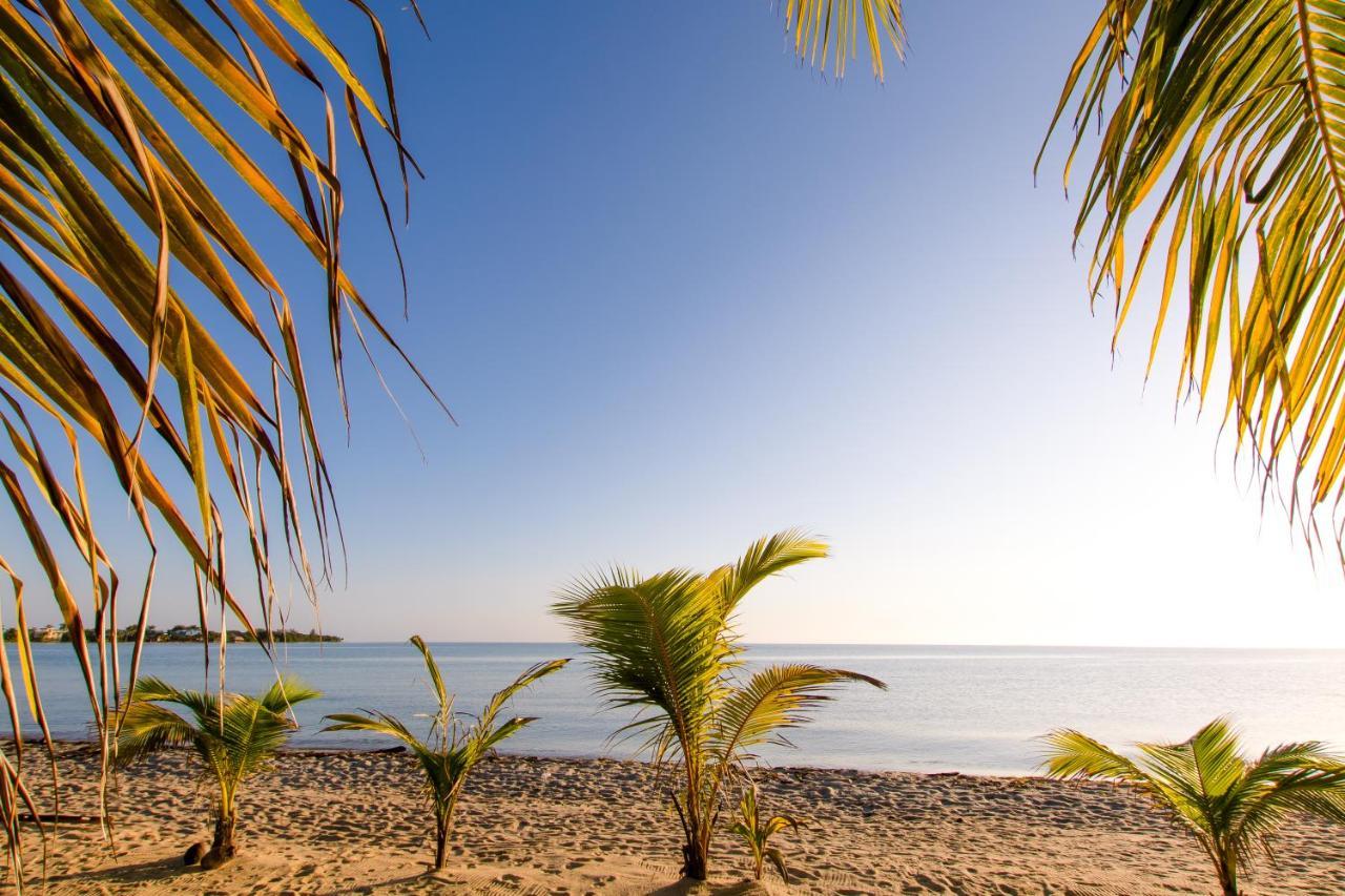 Khalkob'S Estate Διαμέρισμα Placencia Εξωτερικό φωτογραφία