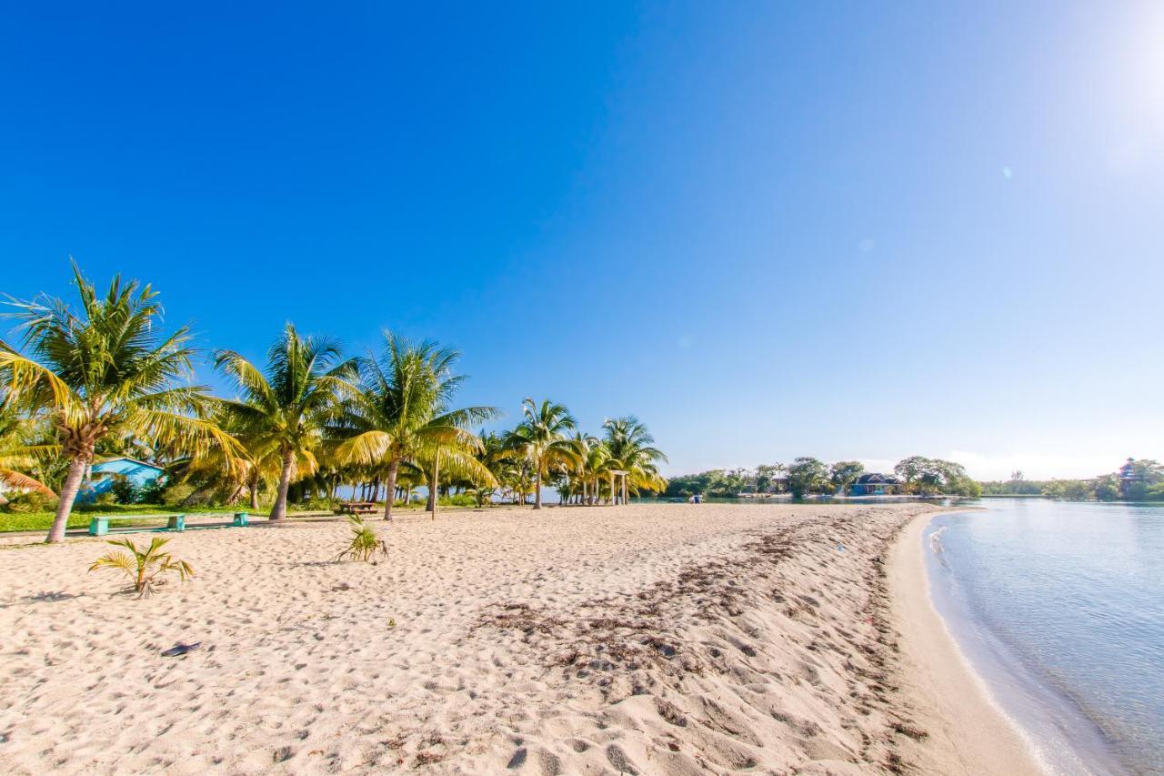 Khalkob'S Estate Διαμέρισμα Placencia Εξωτερικό φωτογραφία